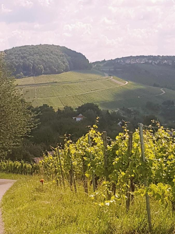 Szafranzimmervermmitung Lägenhet Winnenden Exteriör bild